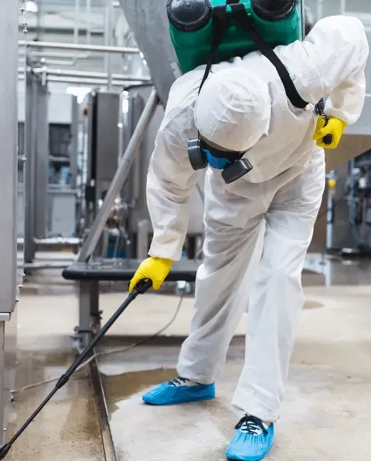 Technicien JVNET intervention dératisation