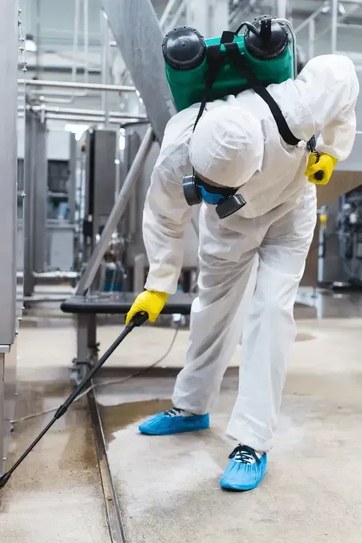 Technicien dératisation professionnel Clamart